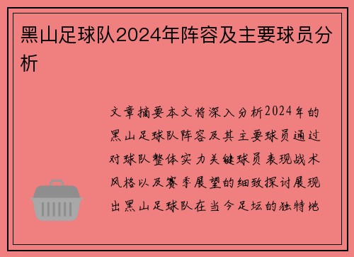 黑山足球队2024年阵容及主要球员分析